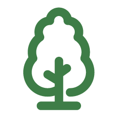 05_优选木材_树木图标.png